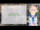 Greensleeves 日本語バージョン / 桜乃そら カバー