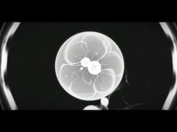 生まれた頃の夢を見ていた/知声