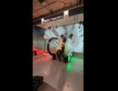 やじゅまんと見る回転