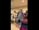 やじゅまんと見るどこの子