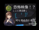 [MSFS2024]恐怖映像！暗闇への着陸！[PS5]