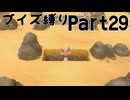 【実況】ブイズだけで行くガラルの旅！Part28【ポケットモンスターソード】