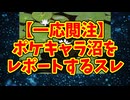 【一応閲注】ポケキャラ沼をレポートするスレ