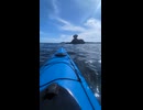 2025kayak solo