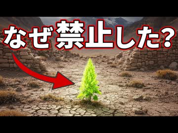 古代の主食だったスーパーフード「キヌア」が栽培を禁じられた理由【生物解説】