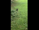 知らん