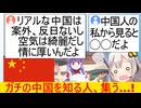 X民「リアルな中国は治安が良くて案外反日も少ないよ」→現地民から様々なリアルが集まる