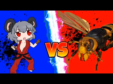 蜂と戦うNYN姉貴　