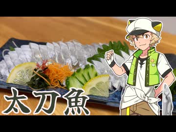 太刀魚を食べる虎太郎