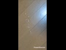 愛汁度21