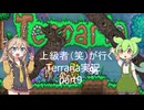 【Terraria】下手くそがいくTerraria実況 part9【ずんだもん】
