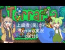 【Terraria】下手くそがいくTerraria実況 part10【ずんだもん】