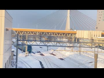 青い森と雪の後。