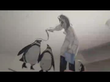 小春ペンギン
