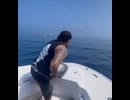 やじゅまんと見る魚