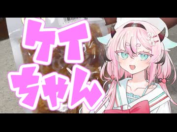 ヒメミコレポート～【とり料理祭2026冬】だよケイちゃんだよ～