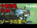 スババ、お前記憶が・・・！【ゼルダの伝説 ティアーズ オブ ザ キングダム】Part44