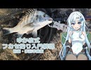 【VOICEVOXフィッシング】ゆか皮式フカセ釣り入門解説・前編