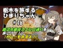 【鹿沼】栃木を旅するひまりちゃん＃16・鹿沼市銀座スエヒロ通りを歩こう！【VOICEVOX旅行】