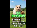 【競馬予想】ＧⅢ #東京新聞杯□AIみかん□今回の予想担当はCocoんco□栽培マン□きのこ□の推奨馬3頭で好配当的中□目指します□《#競馬楽部□LOVE》Vol.214通算Vol.416