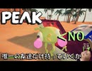 【PEAK】大沼さんが山登り