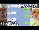 【ホモ到来編】ホモビデオ制作会社アルバイトの日常 #猫ミーム #猫マニ