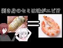 剥き身のセミなら = エビの味！？