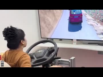 ホモと見る女に運転させてはいけない理由