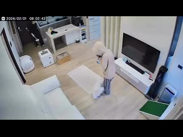 ホモと見る自分を竜巻だと思い込んでいるネコ