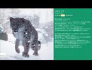 【刀剣乱舞偽実況】広光兄弟が動物園経営やってみた_04【Planet Zoo】