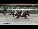 ウエヲムイテゴラン　東京・4歳以上1勝クラス　2026年2月7日