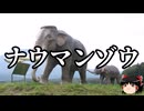 【ゆっくり朗読】ゆっくりさんと絶滅した生物　その70