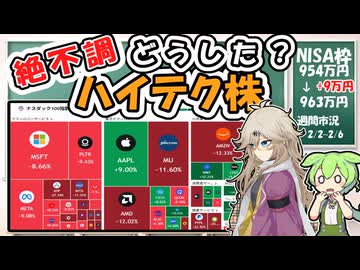 【市場下落】ハイテク爆下げ⁉サースポカリプス!!ってなに？【市況】