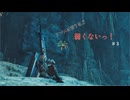 [MHWilds]ランスは言うほど弱くないっ！第3回