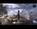 気ままに仁王3_009【仁王3_Steam】