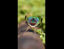 やじゅまんとみる〇