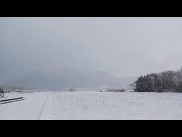 いつもの散歩道