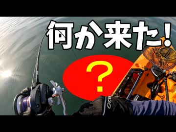 【VOICEROIDフィッシング】楽しいカヤックフィッシング #34