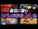【ゆっくり解説】脱却不可能！？身近に潜む危険な依存症14選