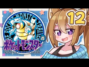 【ポケットモンスター青】四十路間近のおっさんと柴犬たちのポケモンマスターへの道 Part12【オリキャラ実況】