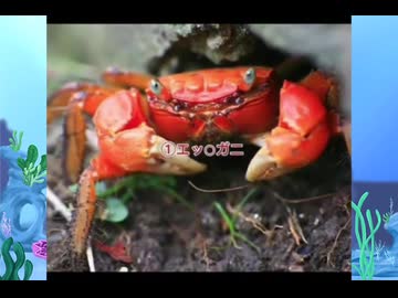 エチカニクス
