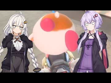 【カービィのエアライダー】ゆづきずエアライダー #23