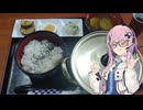 【CeVIO車載】フィーちゃんとゆったりドライブ　vol.22　秩父旅とコメント返し【四輪車載】