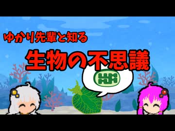 【VOICEROID解説】ゆかり先輩と知る生物の不思議【盗葉緑体現象】