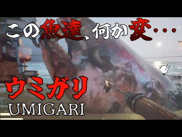 【ウミガリ】変な世界で変な魚を釣るだけと思ったら･･･【Chilla's Art】