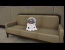 [ポケモン]進め！サメとポケモンの旅パート100