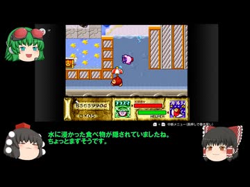 ザギナオの星のカービィスーパーデラックス　実況プレイ Part10（お宝コンプ編）