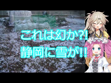 ゆっくり小話その5　これは幻か?!地面が白い!!