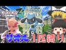 【ポケモンZA】流行りに乗り遅れたやつがリオル1匹でポケモンZAのストーリークリアを目指す！ part2【ゆっくり実況】