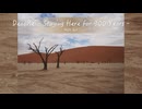 MIDI Art #11 “Deadvlei - Staying Here for 900 Years -”